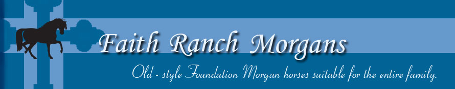 Faith Ranch Morgans